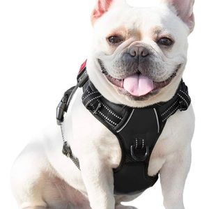 No Pull Dog Harness